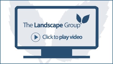 the landscape group